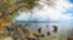 Rocky shoreline with tree branches overhead, a calm sea, and distant mountains. A wooden pier stretches over the clear water under a blue sky.