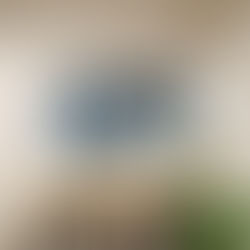 ホームオフィスの内装完成です