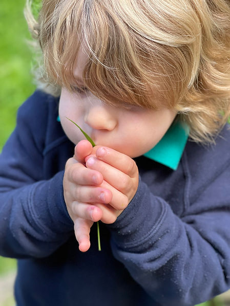 p10 blowing grass.jpeg