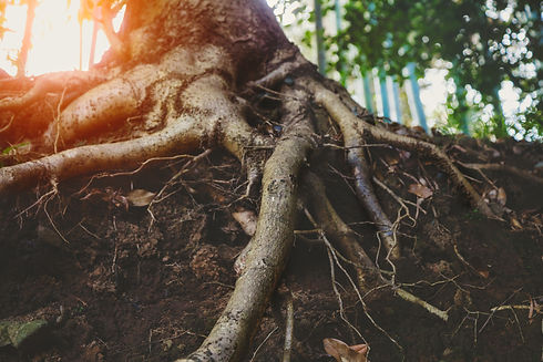 AdobeStock_330531596.jpeg