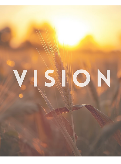 VISION (3).png