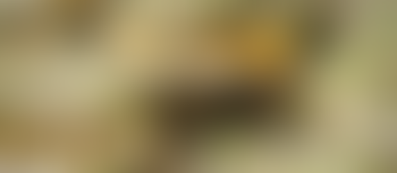 Open faced sandwich with ricotta, fig marmalade, and alfalfa sprouts