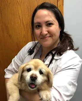 Home Orion Oaks Animal Hospital