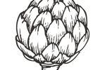 Artichoke