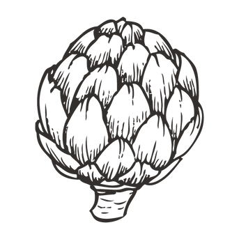 Artichoke