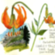 LeopardLillies.jpeg
