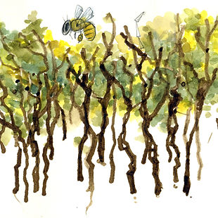StickTrees.jpeg