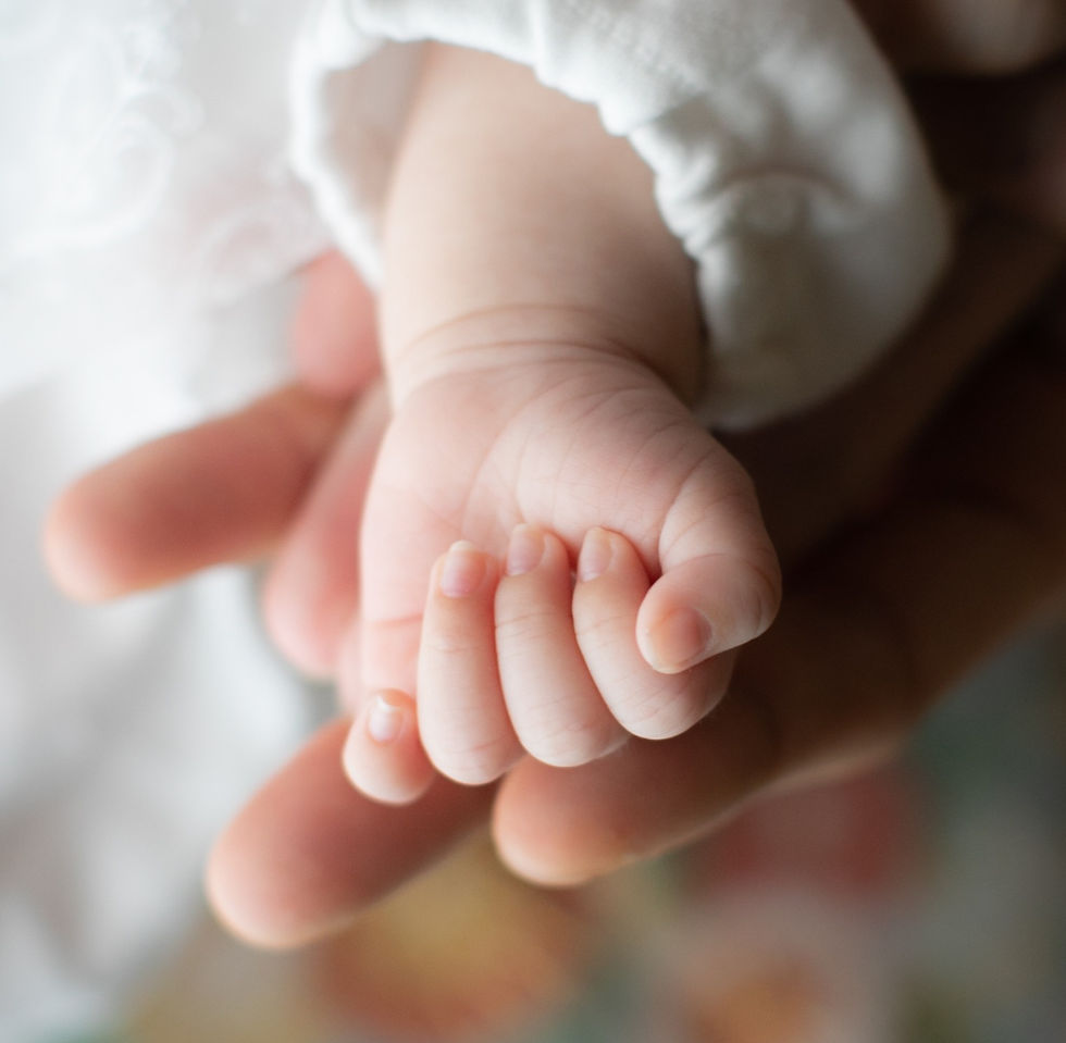 湯島天満宮写真室ホームページを開設しました