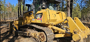 cat dozer.jpg