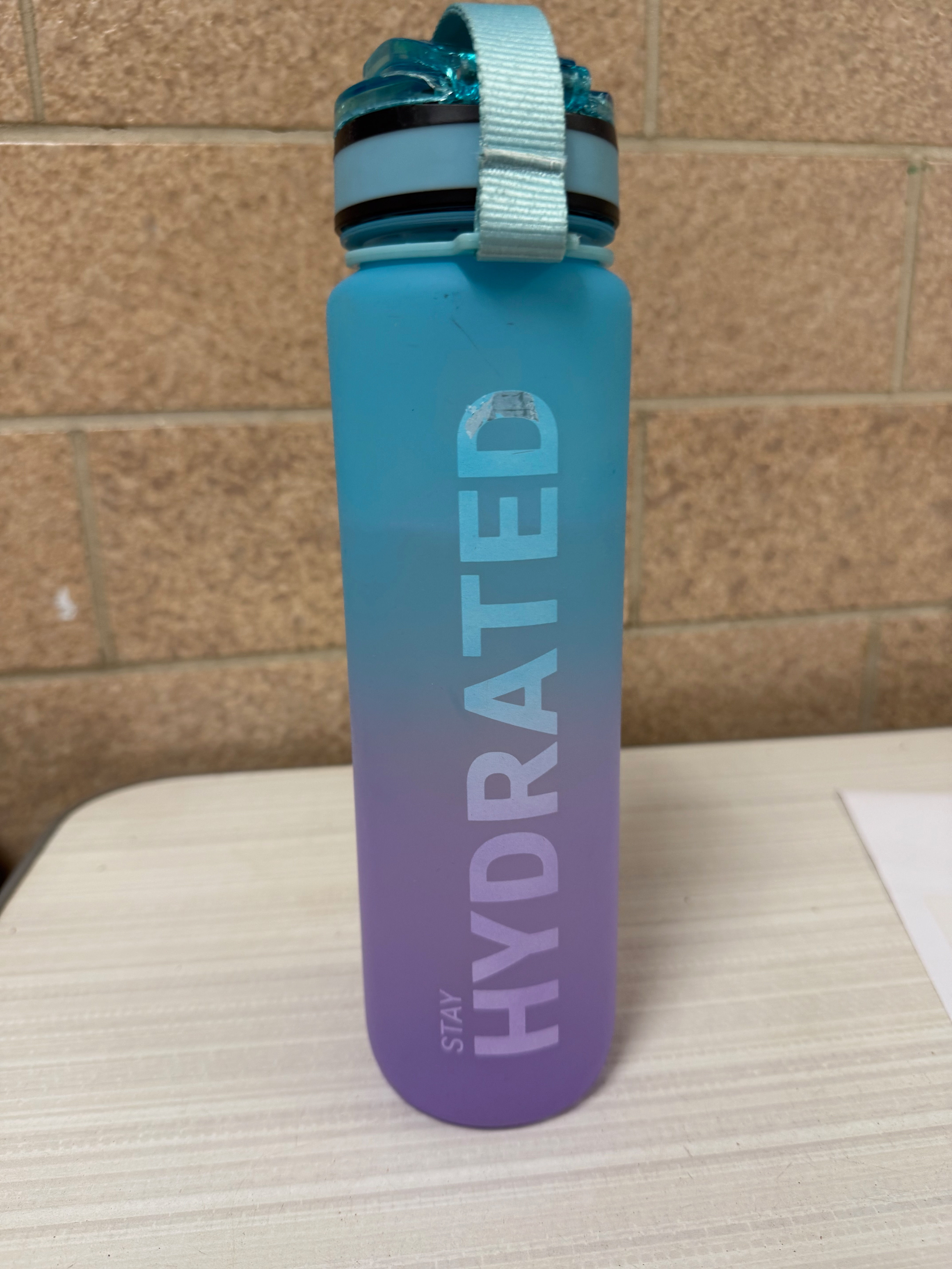 Purple and Blue "Stay Hydrated" Water Bottle