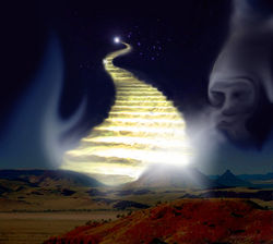 Venus Meets Pleiadies