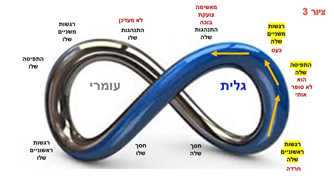 ריבים בזוגיות - יש תבנית קבועה לריבים חוזרים