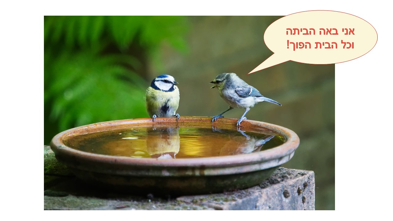 תלונות מובילות לבעיות בזוגיות.