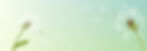 fundo-contato-01.jpg