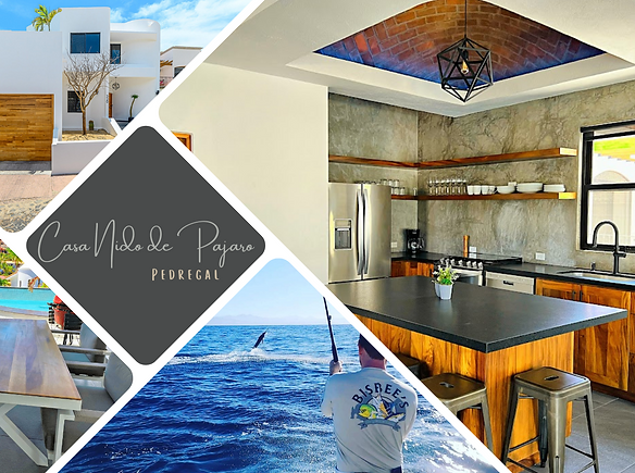 Casa Nido de Pajaro.png