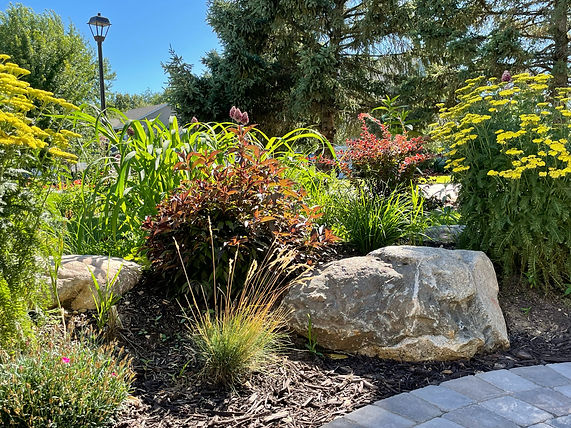 Chris' Landscaping.jpeg