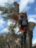 IMG_1468.jpeg