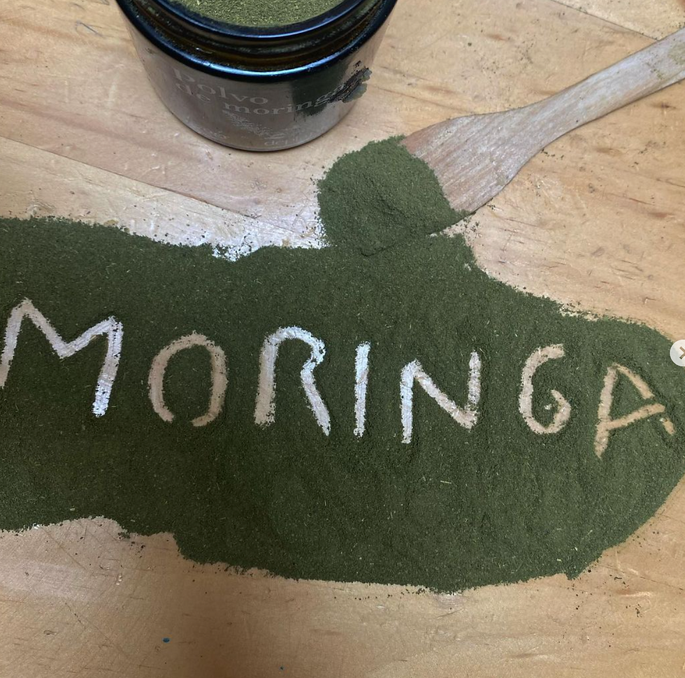 Screenshot 2023-06-21 at 7.38.48 PM