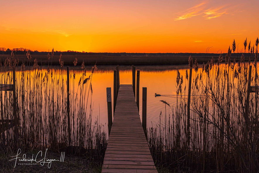 sussquax marina in brookhaven.jpg