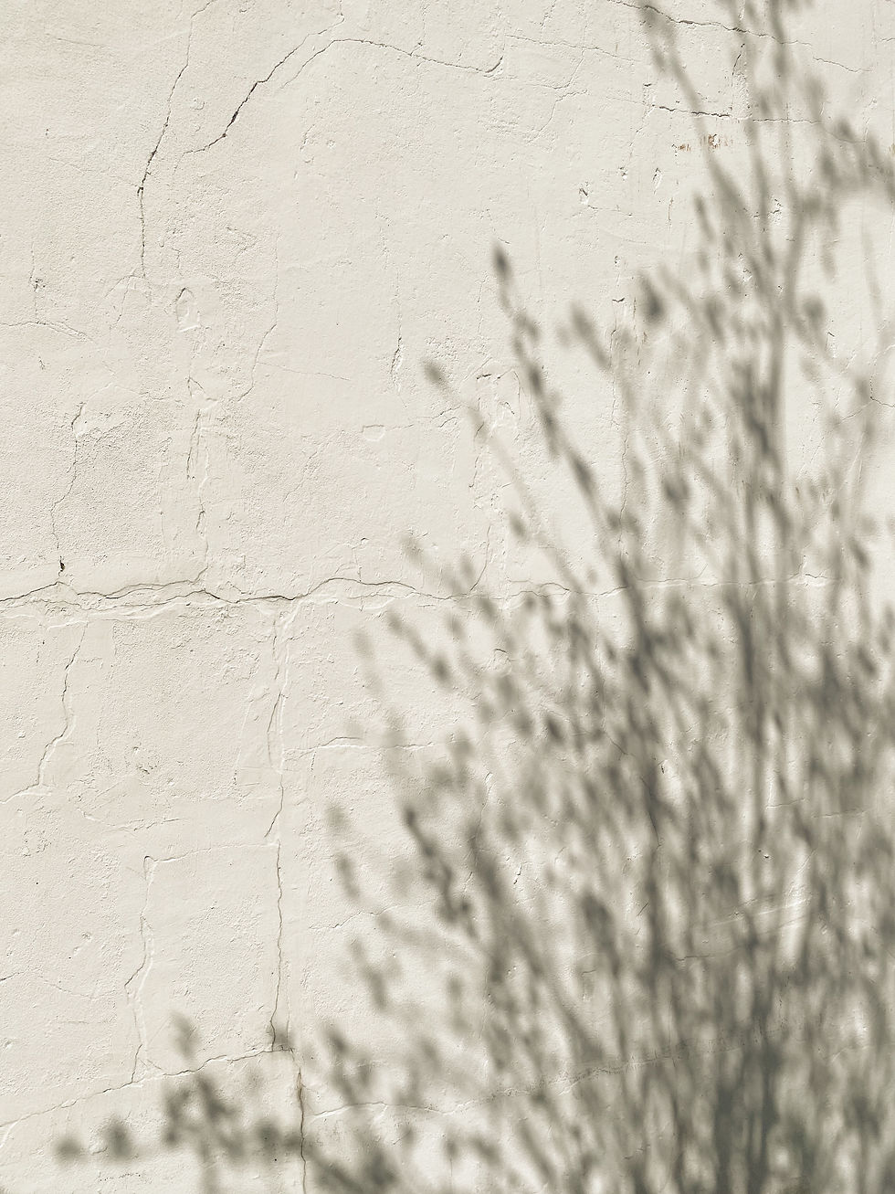 cora-pursley-dupe (44).jpeg