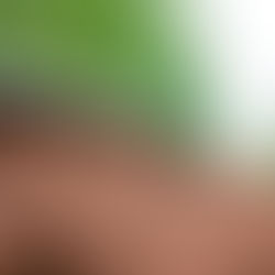 Save water in the garden