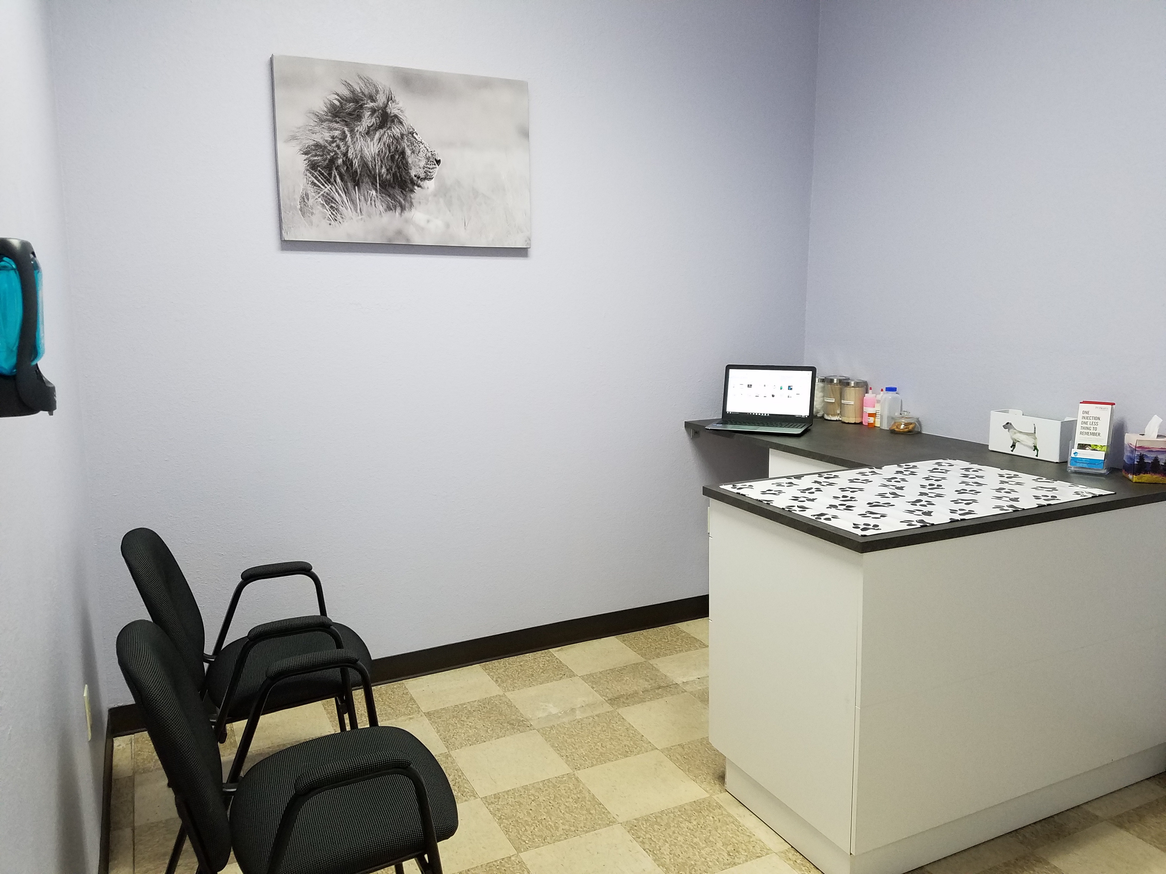 BVL Veterinary Hospital Your Local Veterinary Clinic