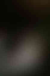 Melbourne Wedding Photographer The Trust | Mel Panteli Photographer