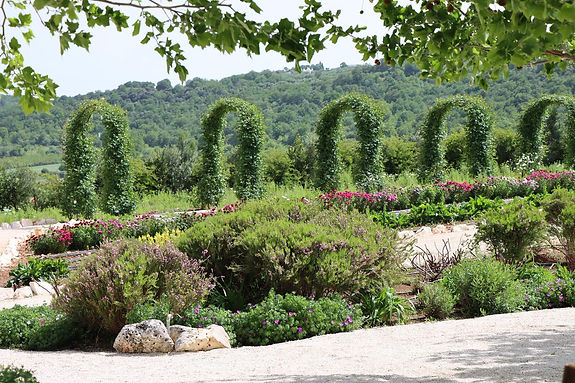 gardens_arches_roses_glory.jpg