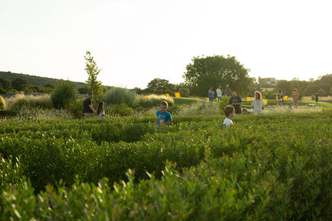 Le Labyrinthe