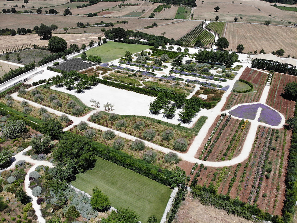 drone giardini pistola from over masseria 2025.JPG