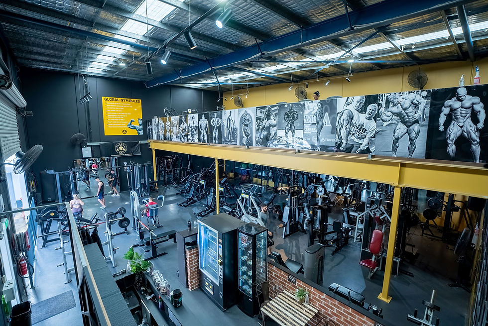 WIDE OF GYM FROM STAIRS