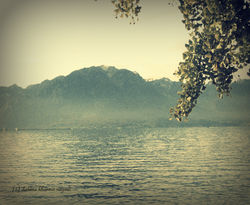 Dahbia Khamsa NEGADI