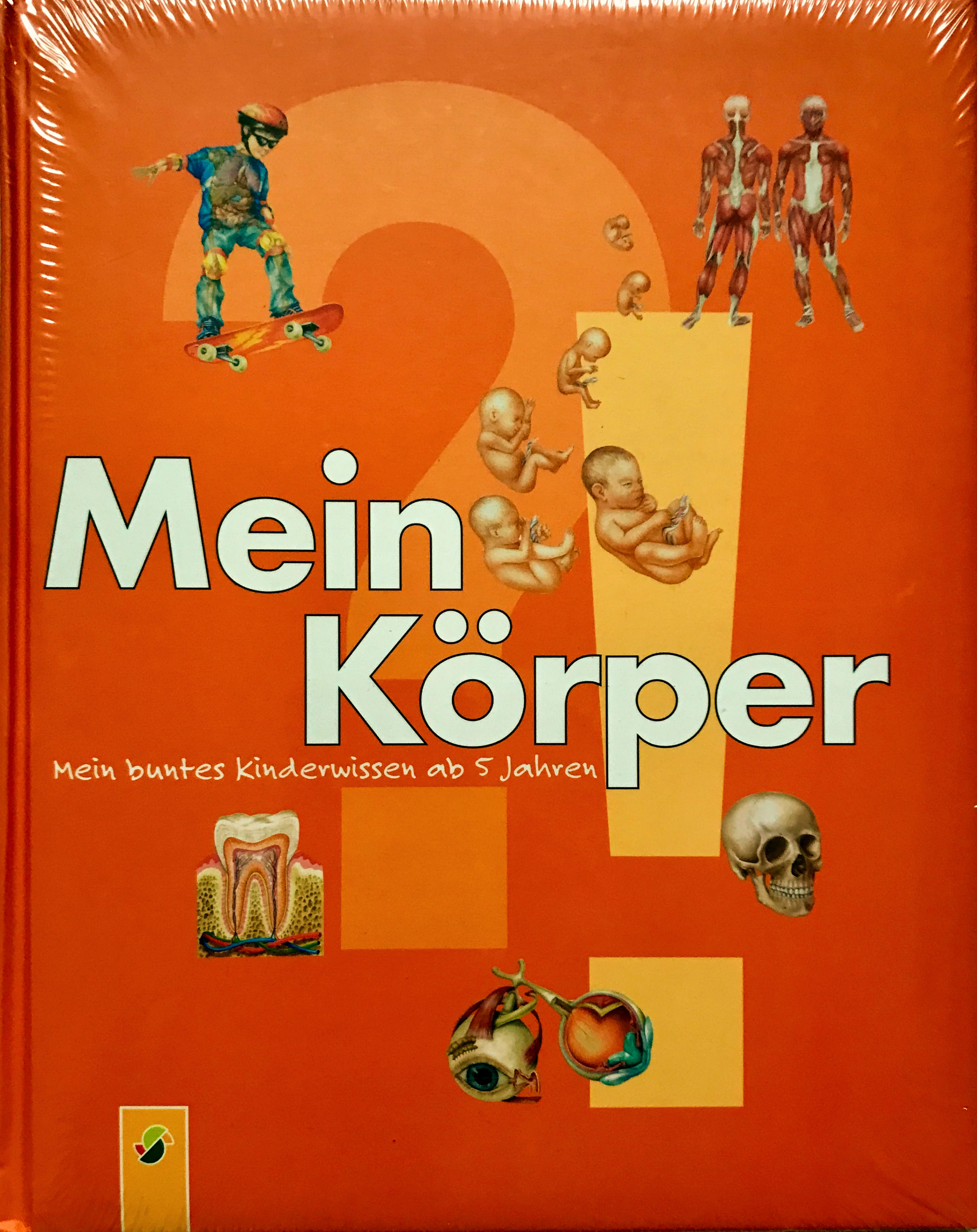 Mein Körper