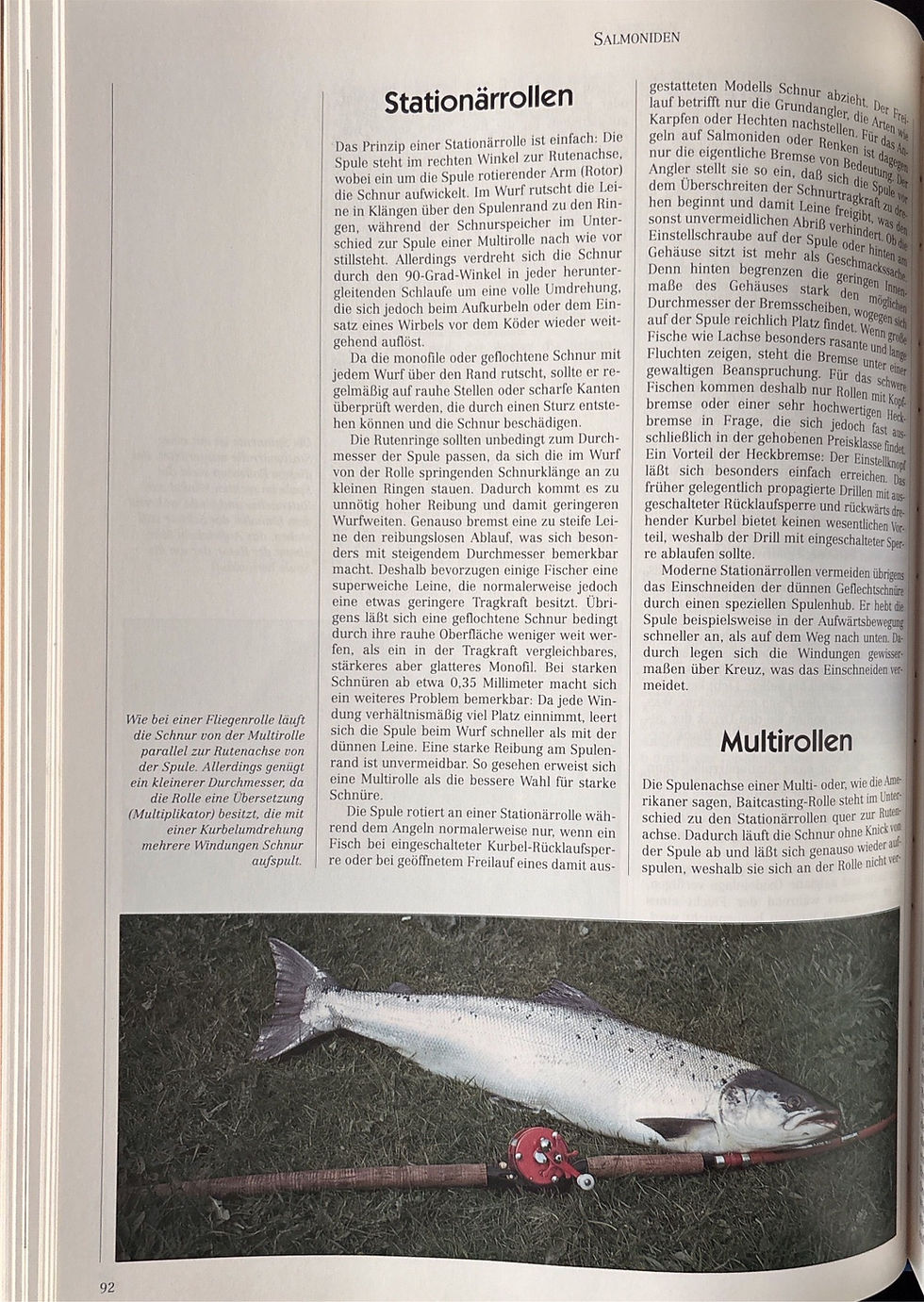 Miniaturbild: Buckland John, Salmoniden (antiquarisch)