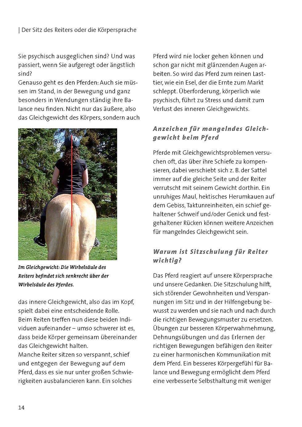 Miniaturbild: Heilmeyer Barbara und Urte Biallas, Dressurkurs mit Barbara Heilmeyer