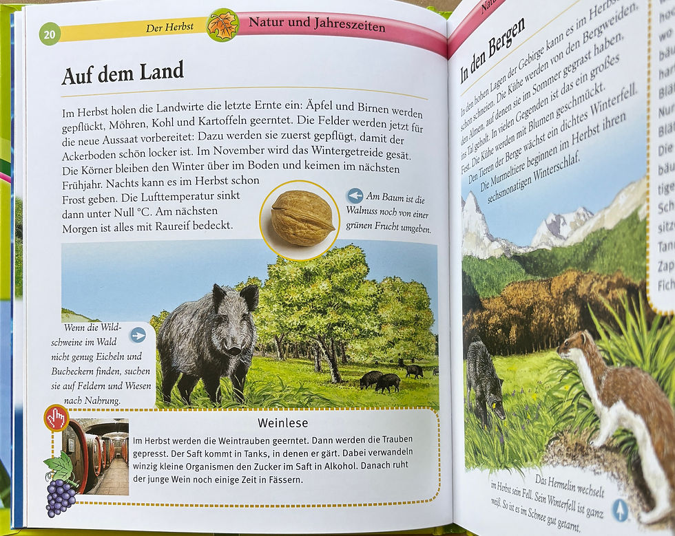 Miniaturbild: Natur und Jahreszeiten