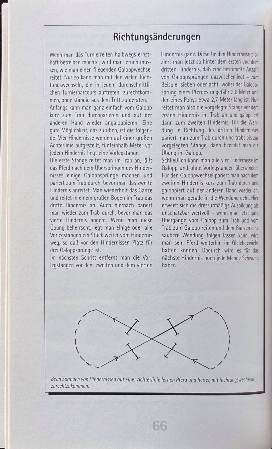 Miniaturbild: Draper Judith, Besser Springreiten (antiquarisch)