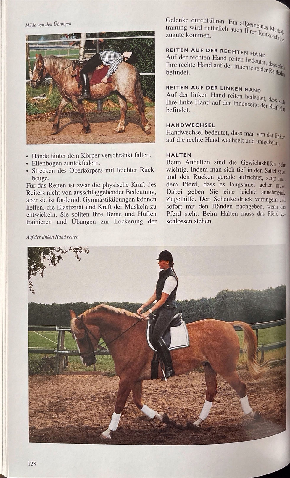 Miniaturbild: Hermsen Josée, Illustrierte Pferde Enzyklopädie
