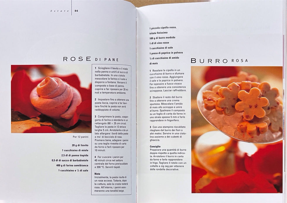 Miniaturbild: Il Libro degli Ospiti