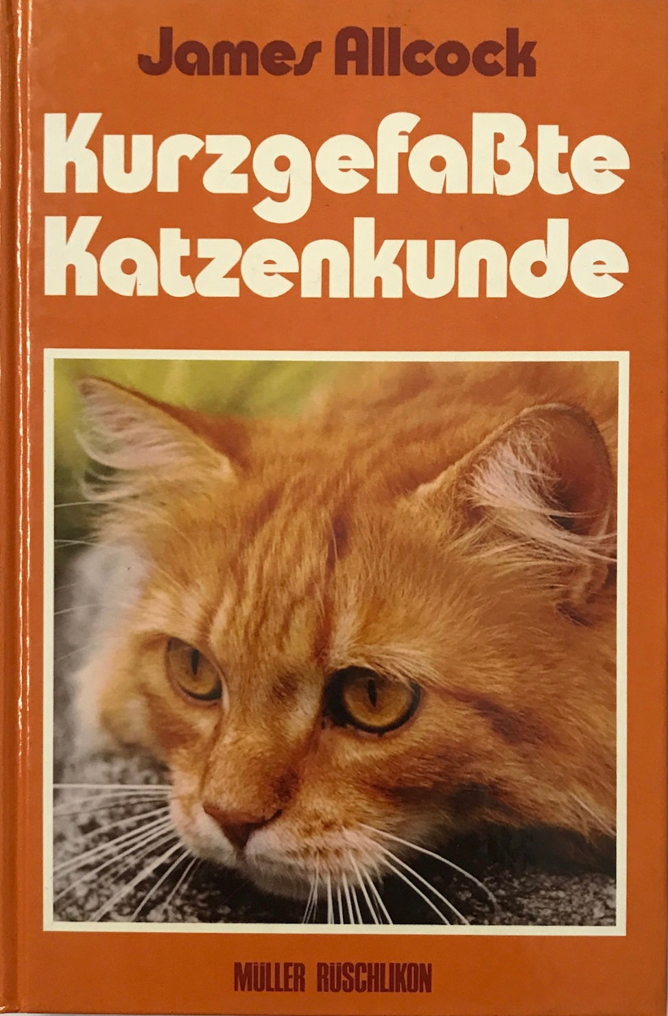 Allcock James, Kurzgefasste Katzenkunde (antiquarisch)