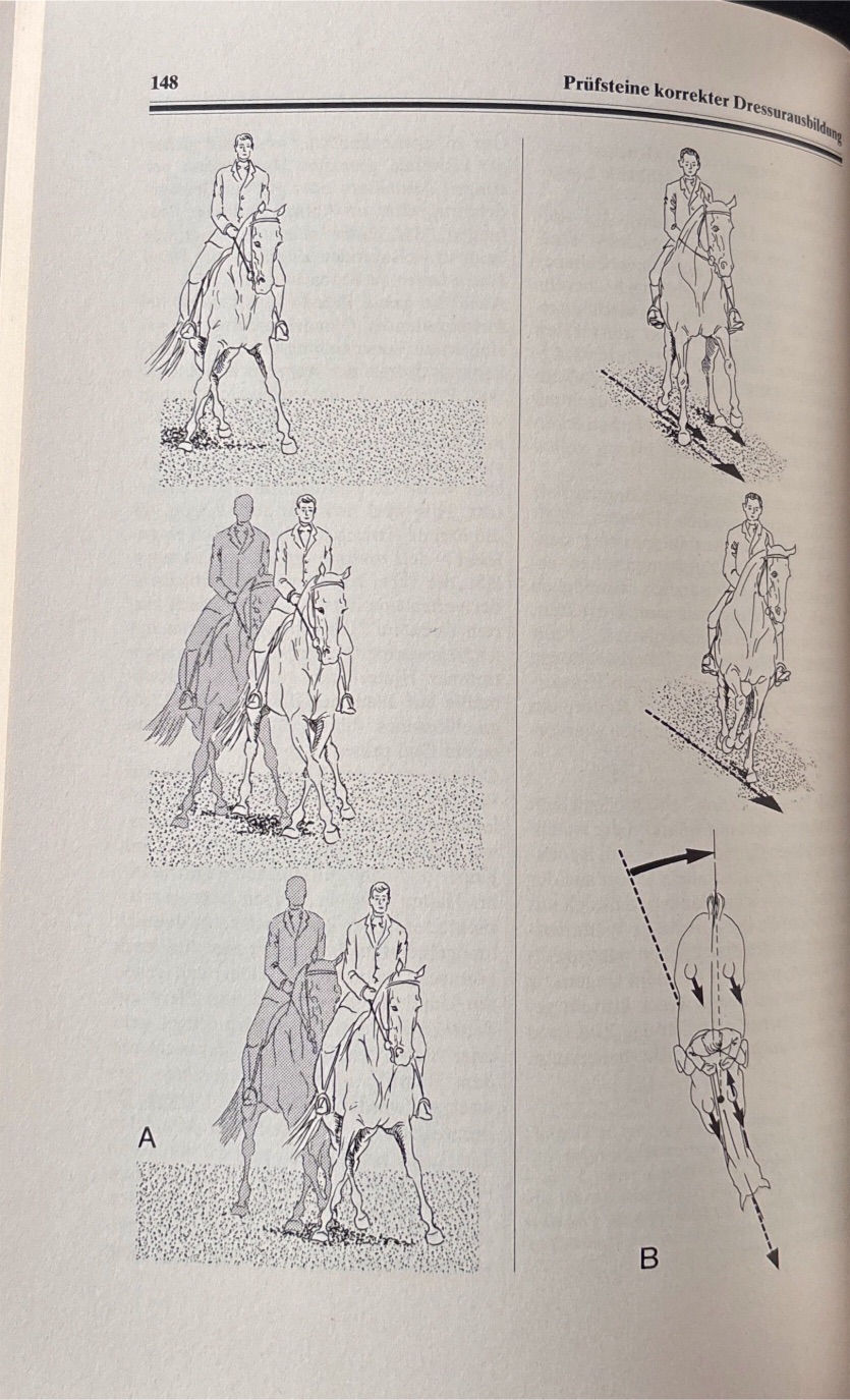 Miniaturbild: Stackelberg Hans Frhr. von, Reiten Ausbilden Richten (antiquarisch)