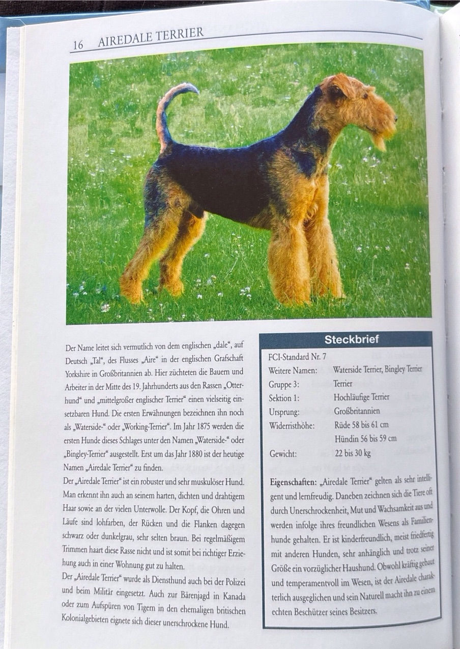 Miniaturbild: Hunde (Garant)