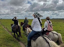 Voluntours Colombia - Colombian Safari - Los Llanos - Horse riding