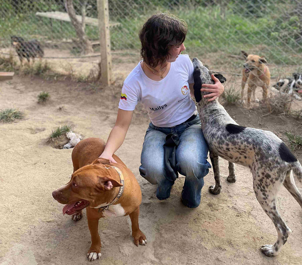 Mailys haciendo voluntariado con perros en Bucara Voluntours en Bucaramanga, Colombia