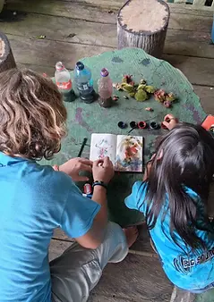 Bucara Voluntours Amazon Program Macedonia Colombia Volunteers in action.webp