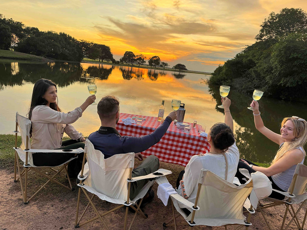 Group of Travellers enjoying a sundown in the Llanos region of Colombia