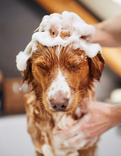 AdobeStock_500891203_edited.jpg