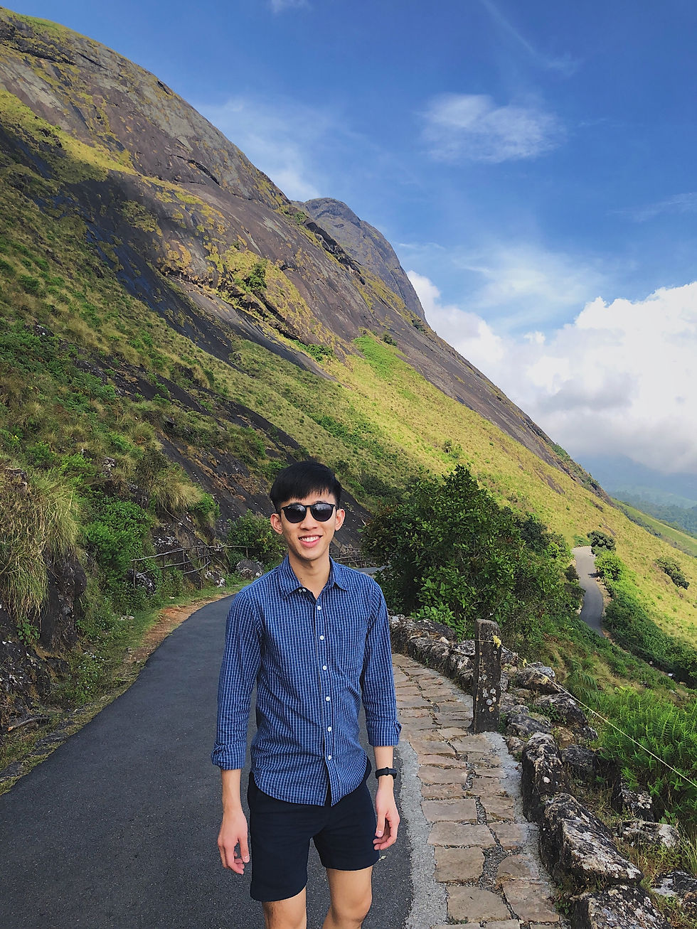 Eravikulam National Park in Munnar, Kerala, India