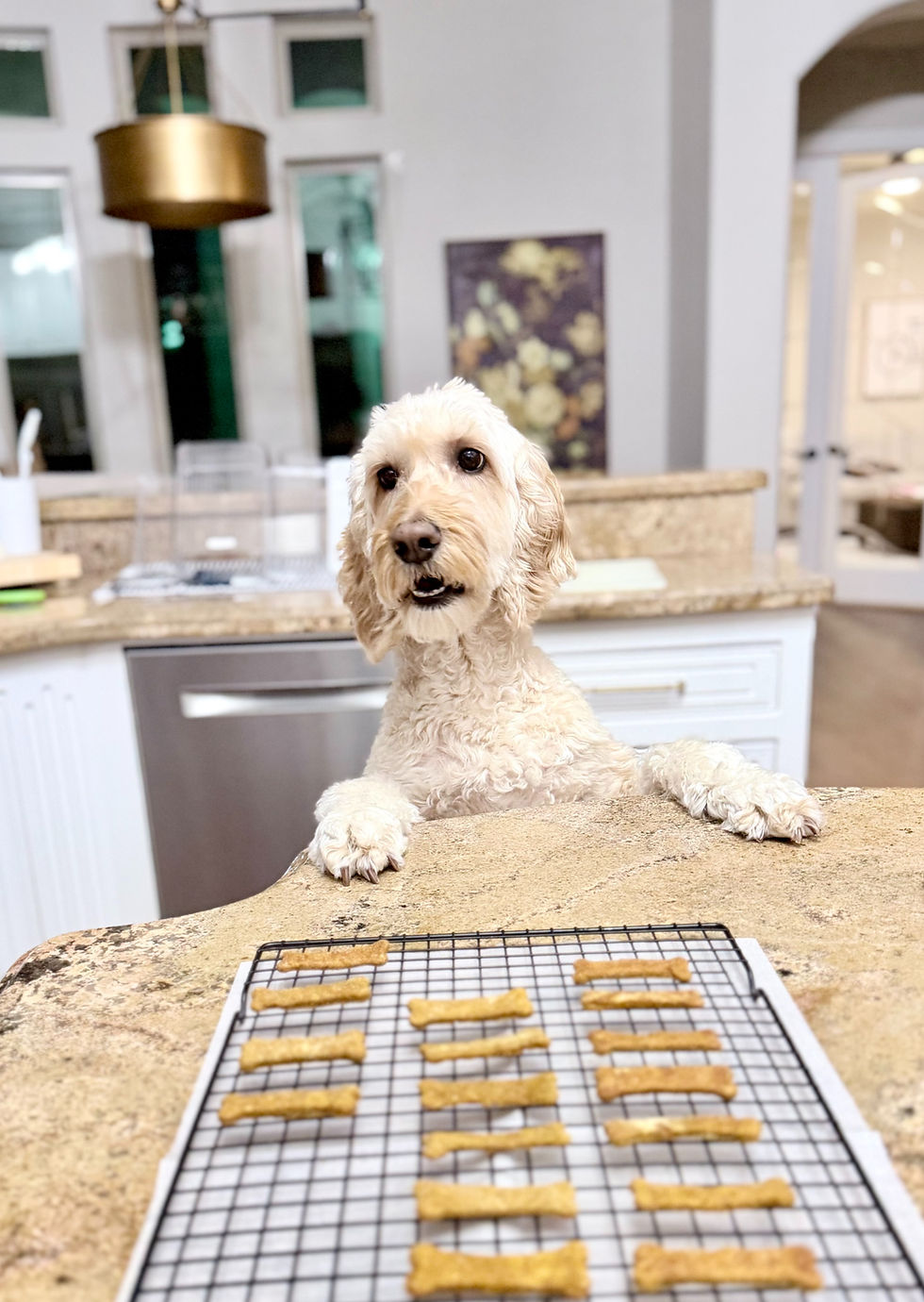 penny treat pic.jpeg