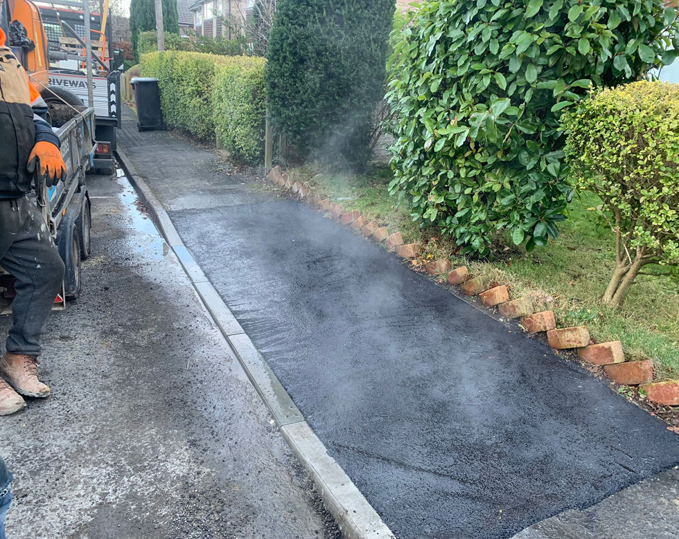 WhatsApp Image 2023-03-15 at 14.12.23.jpeg